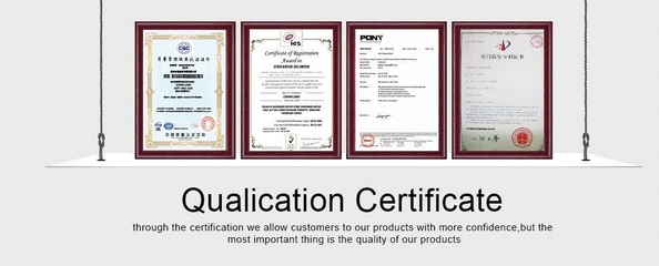 Chine First (Shenzhen) Display Packaging Co.,Ltd certifications